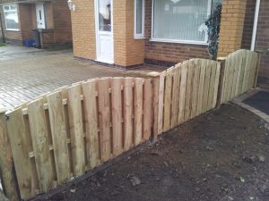 20121217_125719 (Medium)