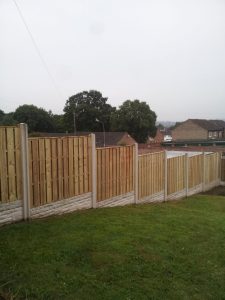 20140801_191951 (Medium)